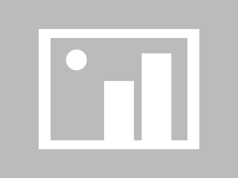 爱游戏娱乐网址-辽宁本钢老将经验助力球队稳定，辽宁本钢领队是谁