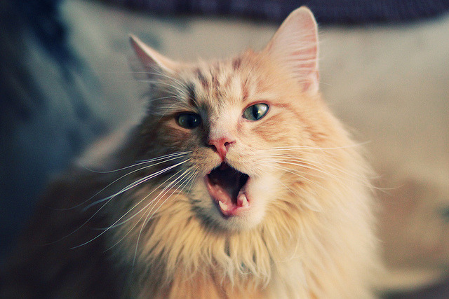 拜仁慕尼黑二度战胜,夺冠前路愈发清晰,拜仁慕尼黑夺冠阵容