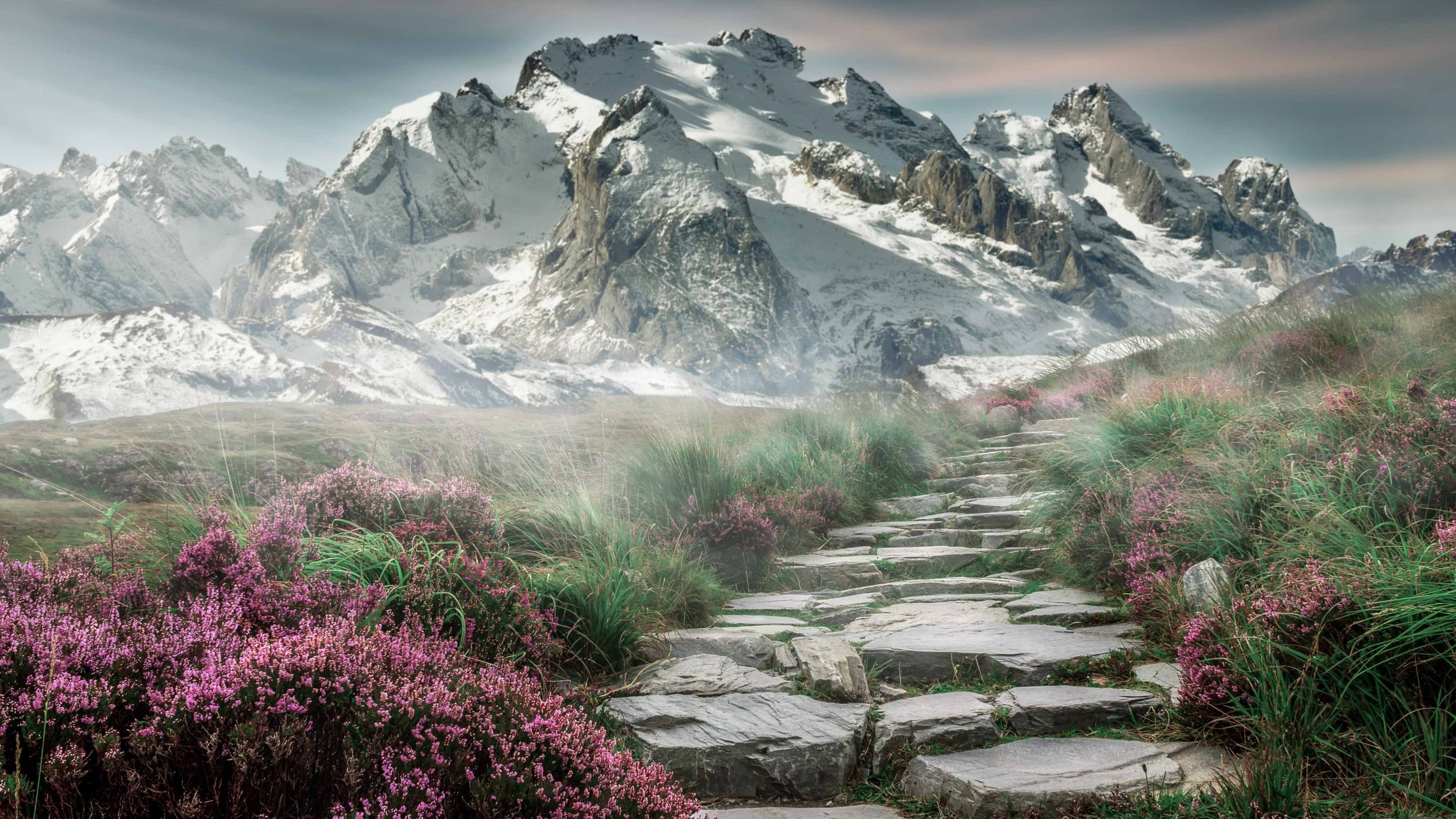 科拉盼重返球场,卡利亚里前锋渴望复出,卡利亚里vs拉齐奥