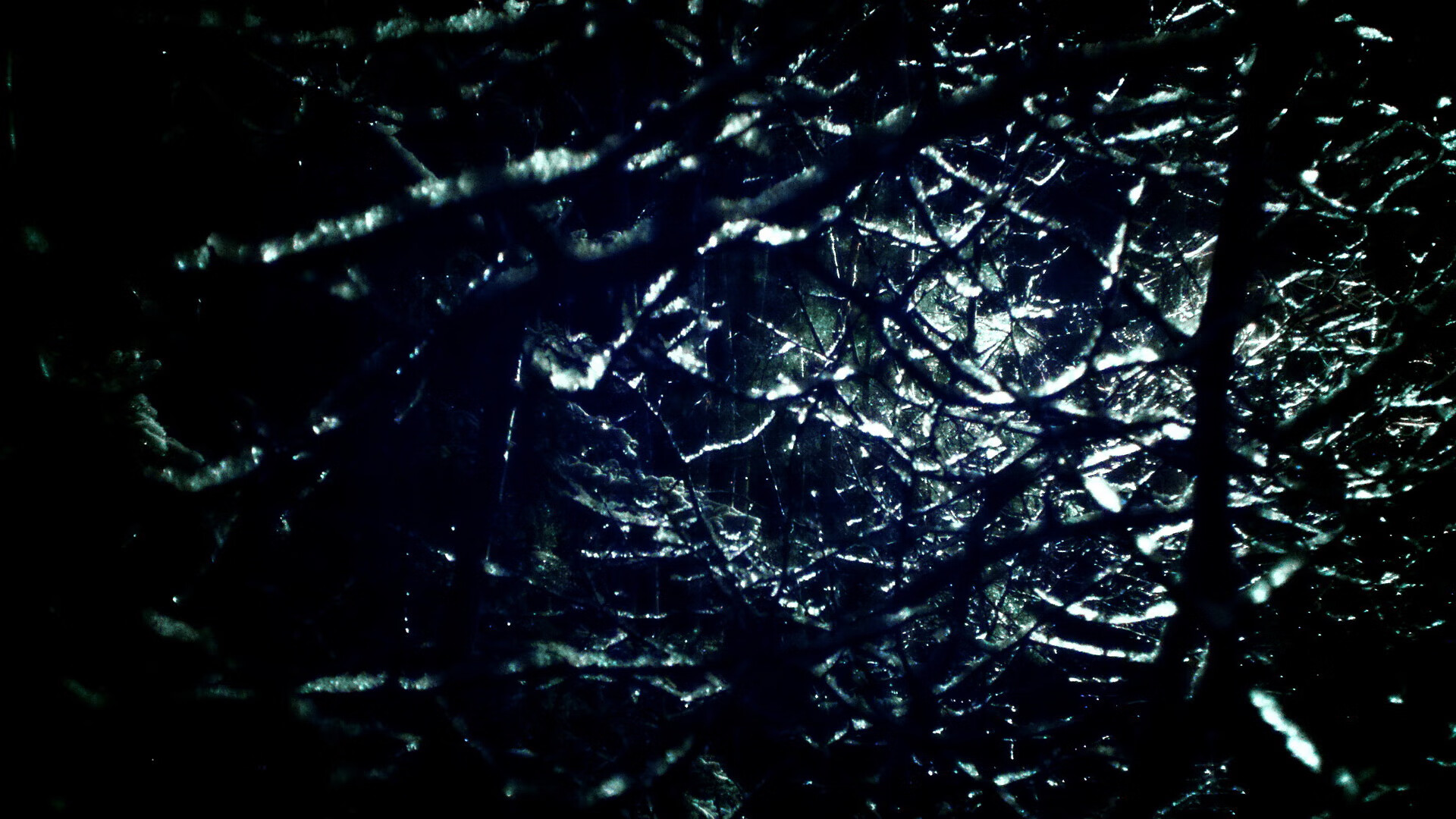 美洲杯冠军花落谁家?各国球迷兴奋不已,美洲杯冠军一览