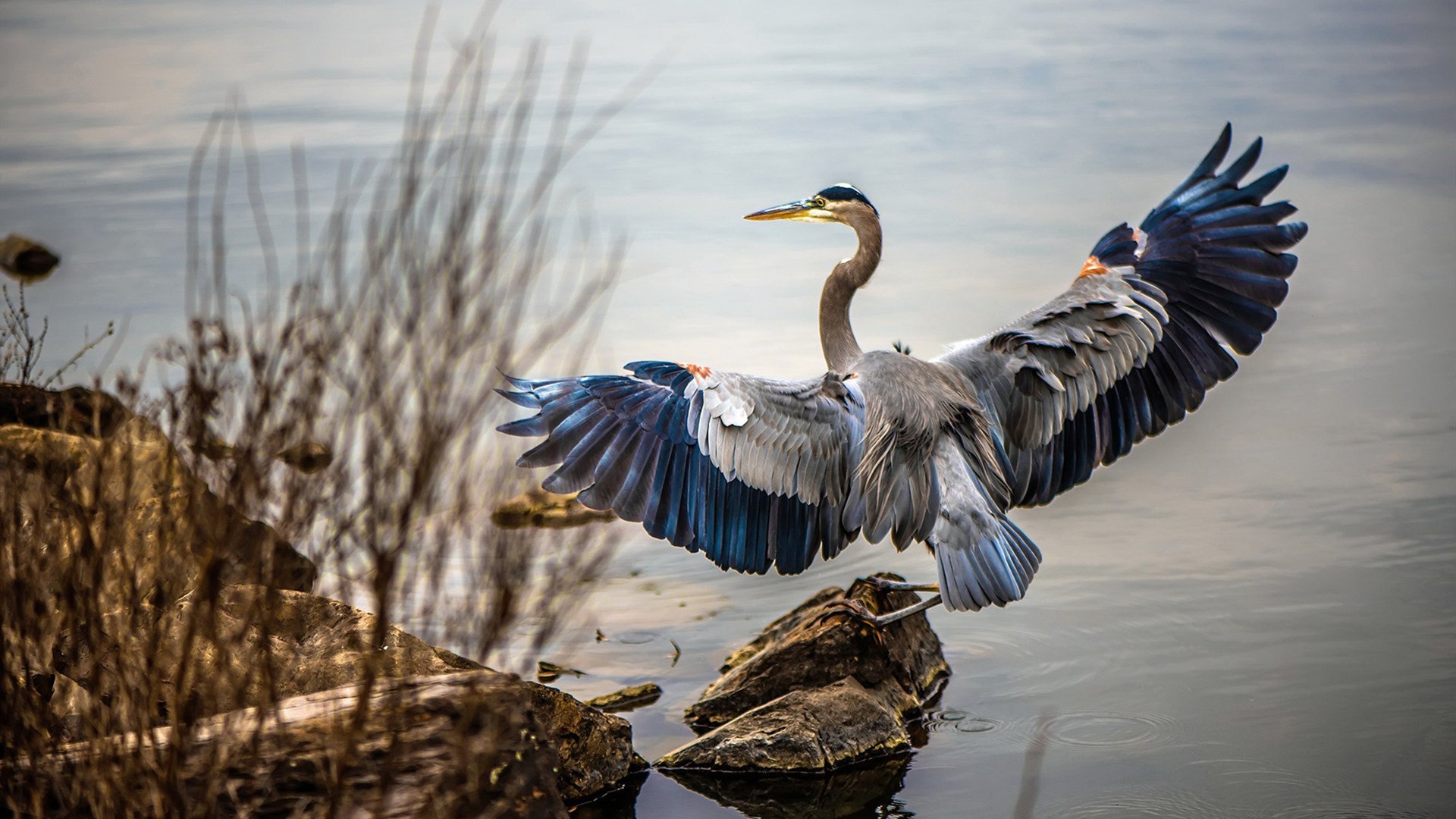 青训体系建设与完善,青训理念