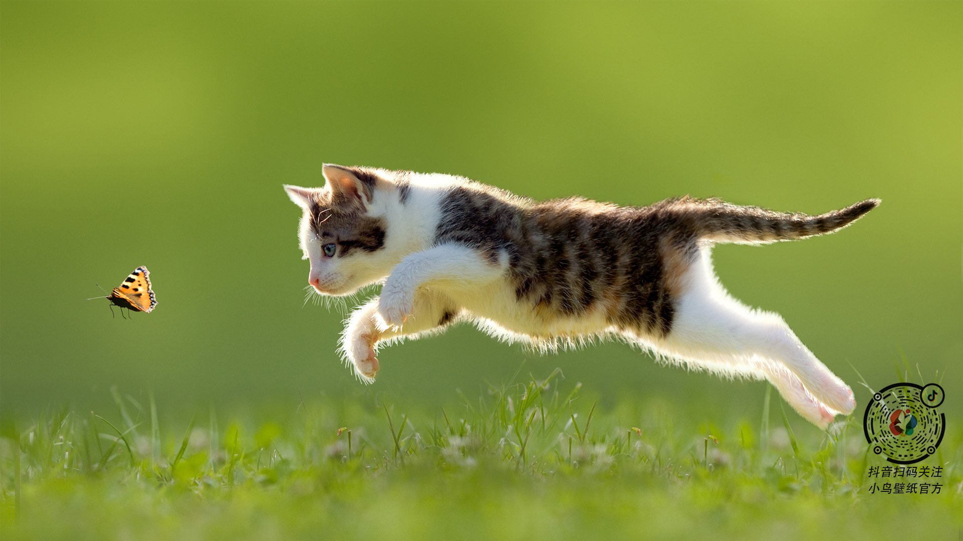 马竞客场遭遇窘境,无缘全取三分,马竞怎么样