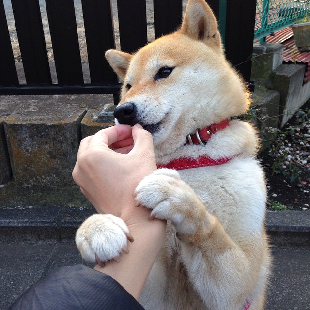 爱游戏官方网站-争冠悬念升级：五大联赛积分榜最新排名，五大联赛最终积分榜