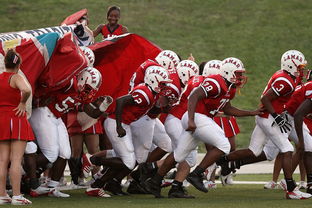 爱游戏-全国青少年皮划艇竞速赛在杭州顺利举行，青少年皮划艇夏令营活动