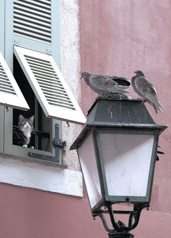 爱游戏娱乐-体育新闻中心上线体育赛事舆情监控智能预警平台，体育赛事媒体