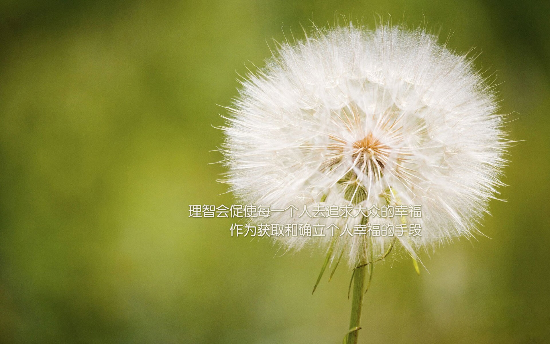 爱游戏体育（AYX）官方APP下载-全国滑板街式挑战赛决出年度冠军，街头滑板比赛规则