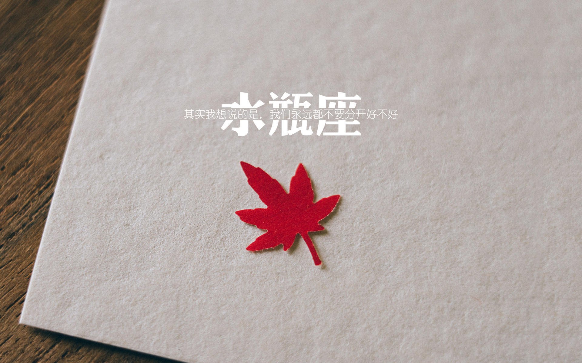 水上比拼+湖畔市集,赛事之外更精彩