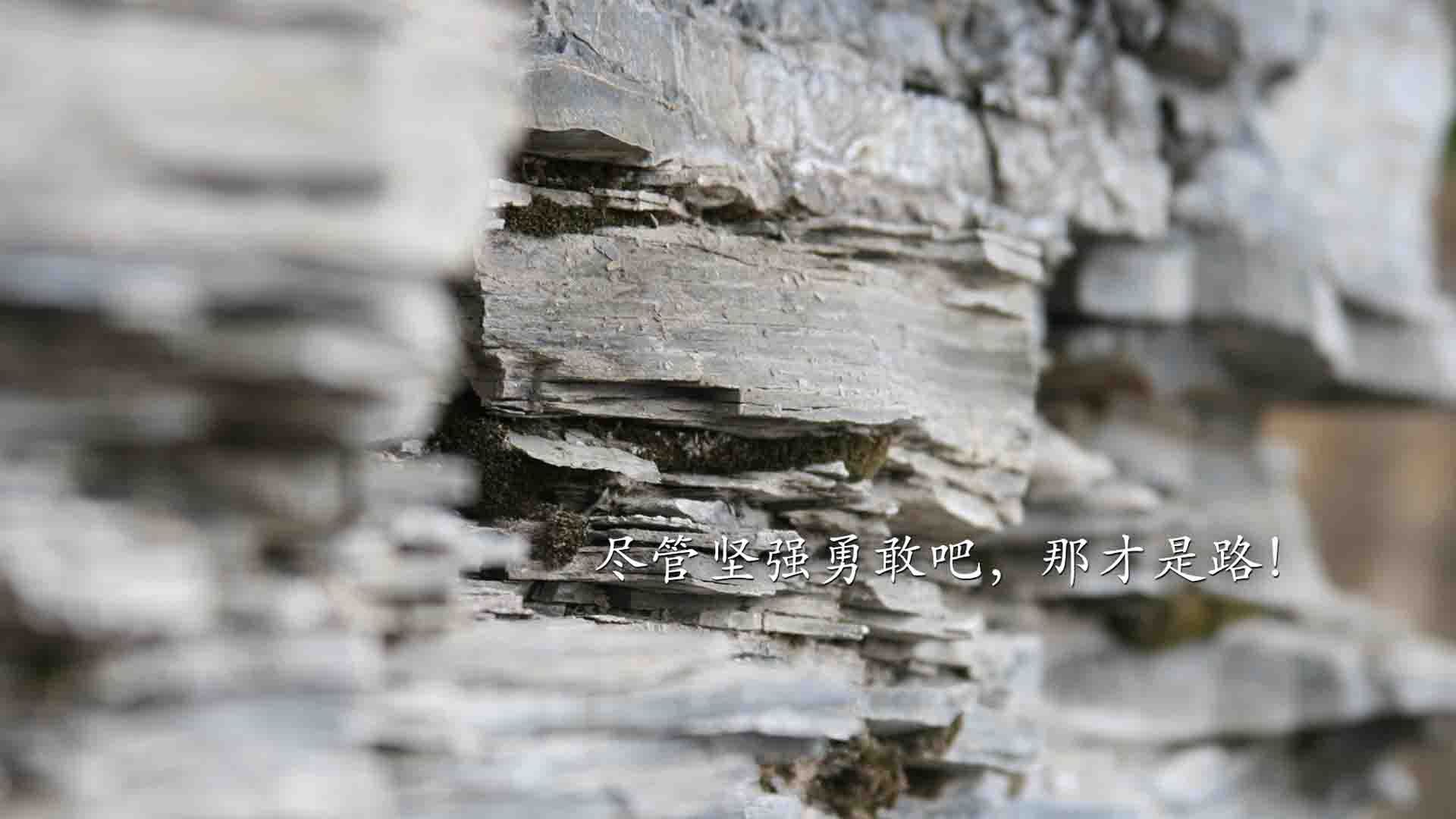 恩多比·恩乔:敏锐的判断力使他成为南非队最值得信赖的核心球员