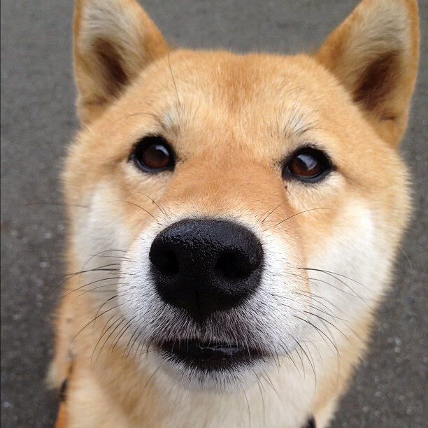 恩多比·恩乔:敏锐的判断力使他成为南非队最值得信赖的核心球员