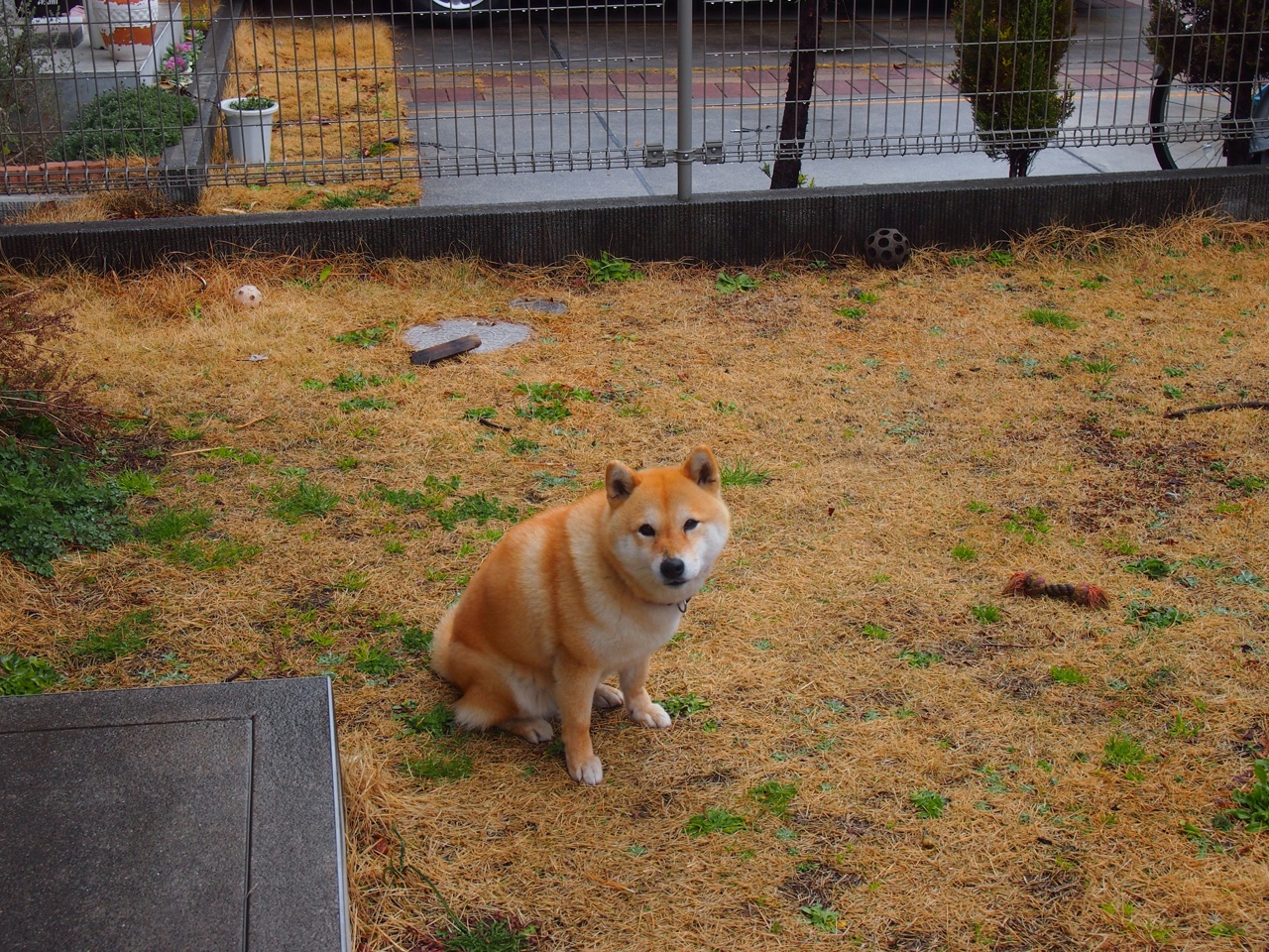 由大数据驱动的足球赛事预测模型逐步成熟,足球大数据模型算法!