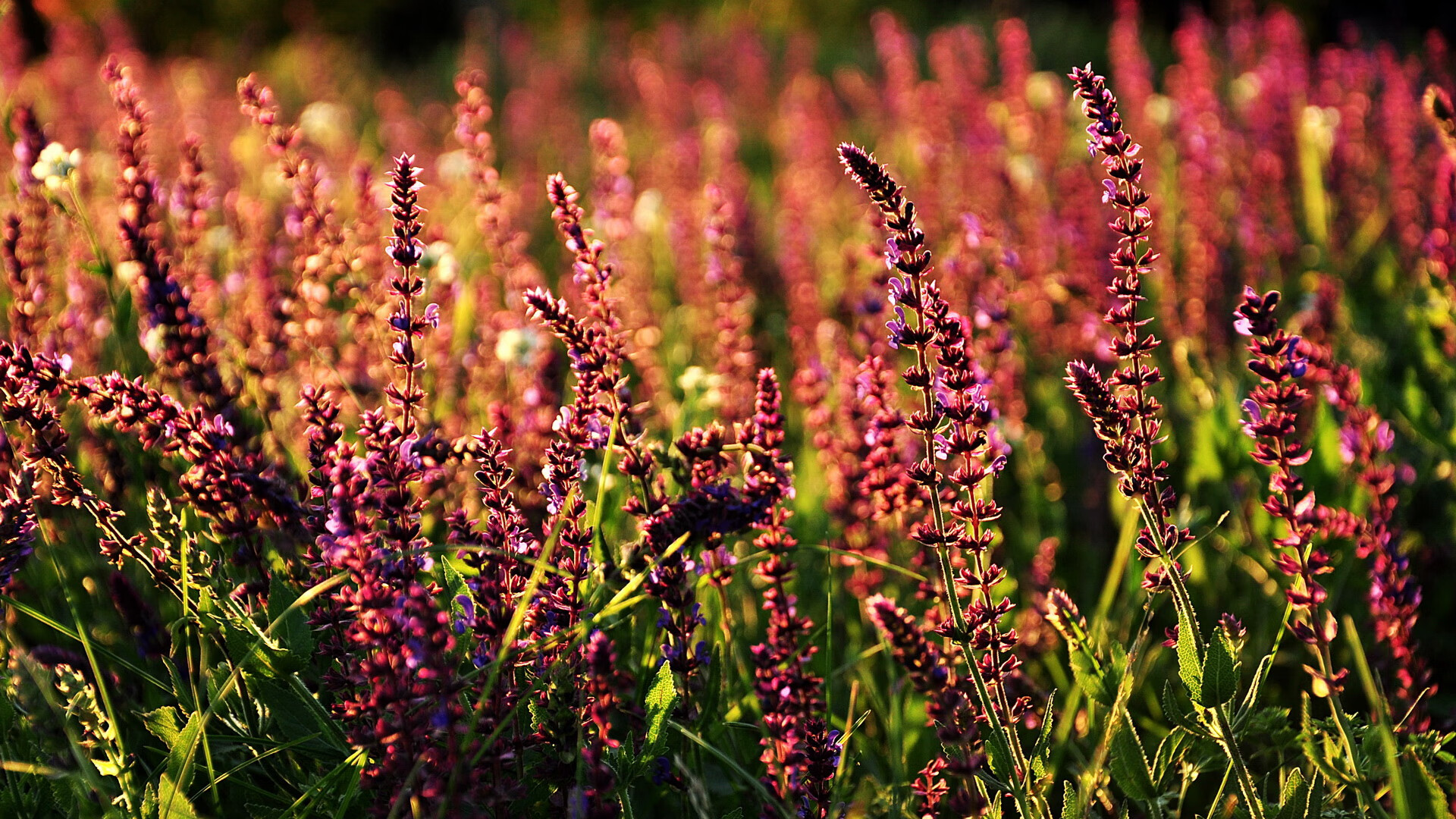 足球公益广告引发社会关注,传递正能量,公益足球文案