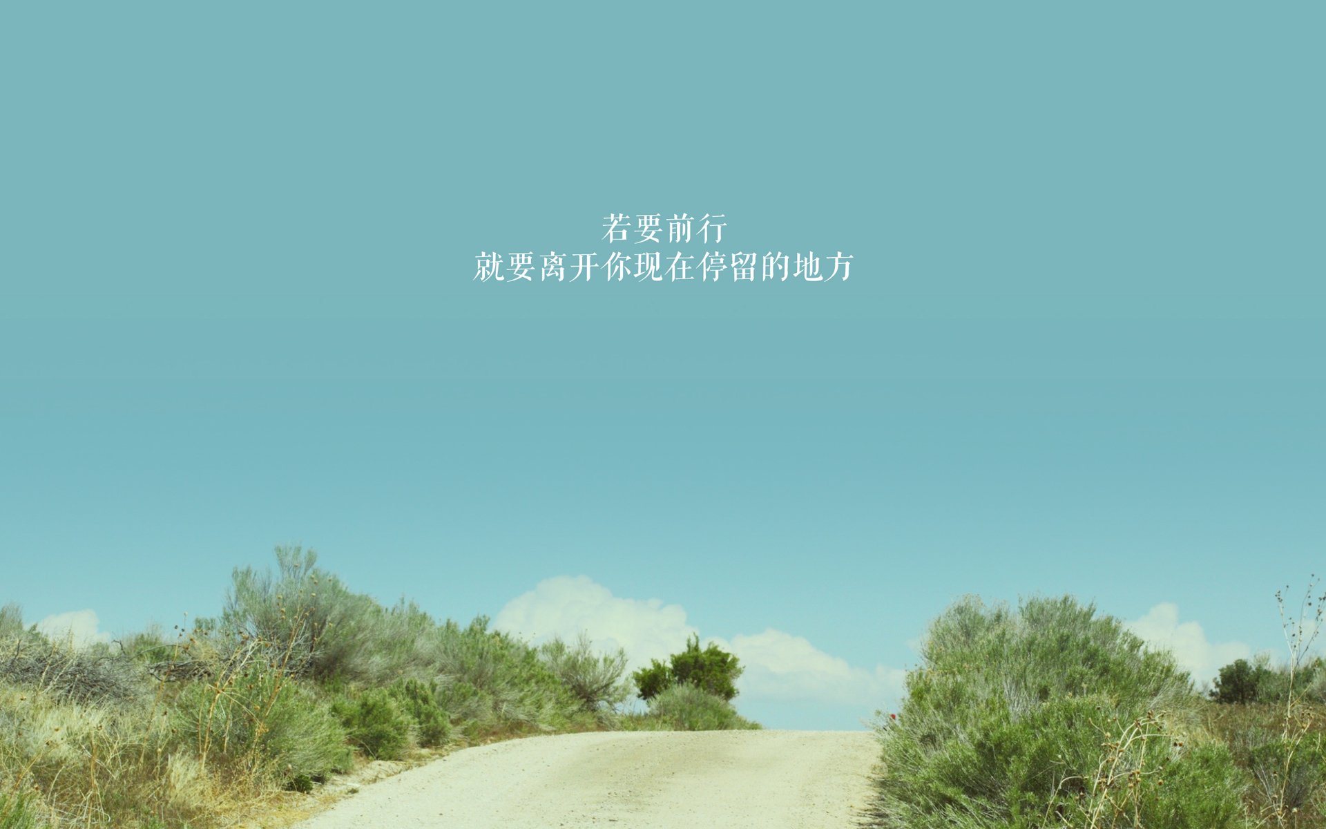 达米恩·麦肯齐:全黑队最具威胁的进攻球员之一,每一次突破都充满看点