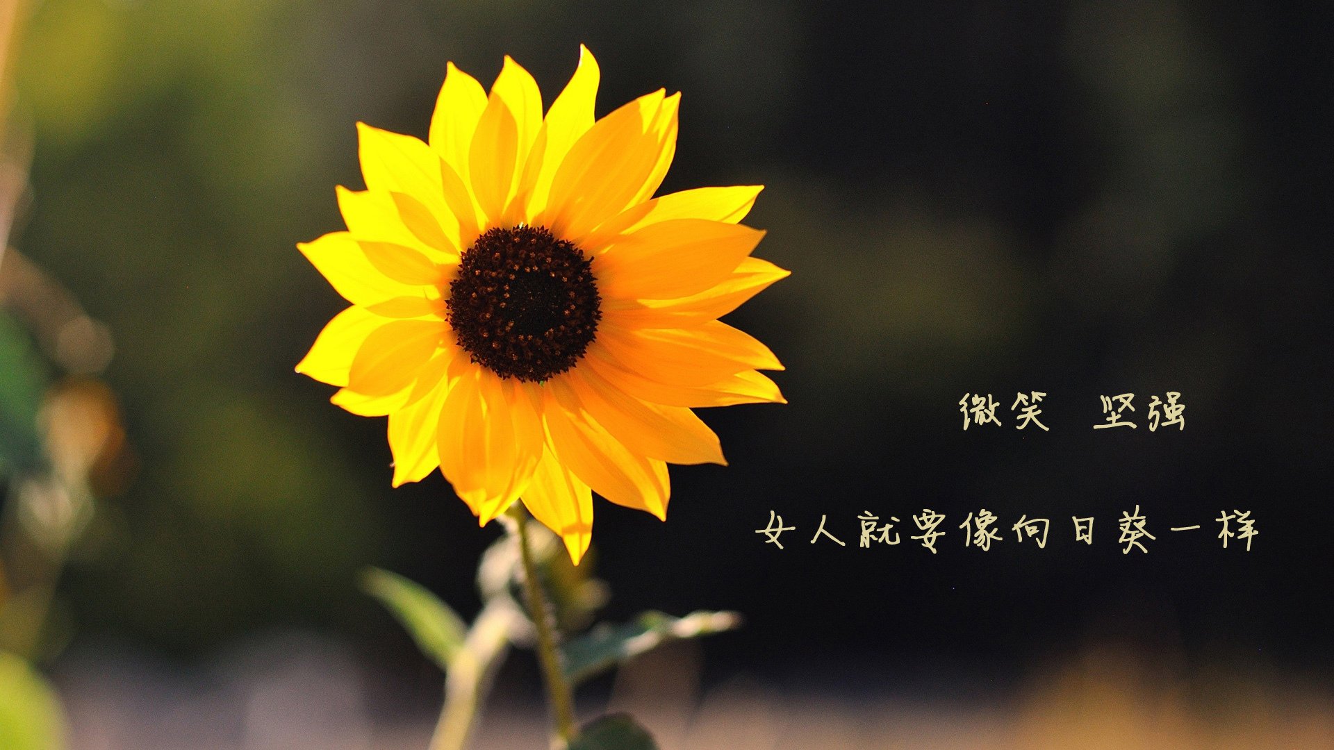 骑士球员训练后自发组织复盘会议,骑士队训练