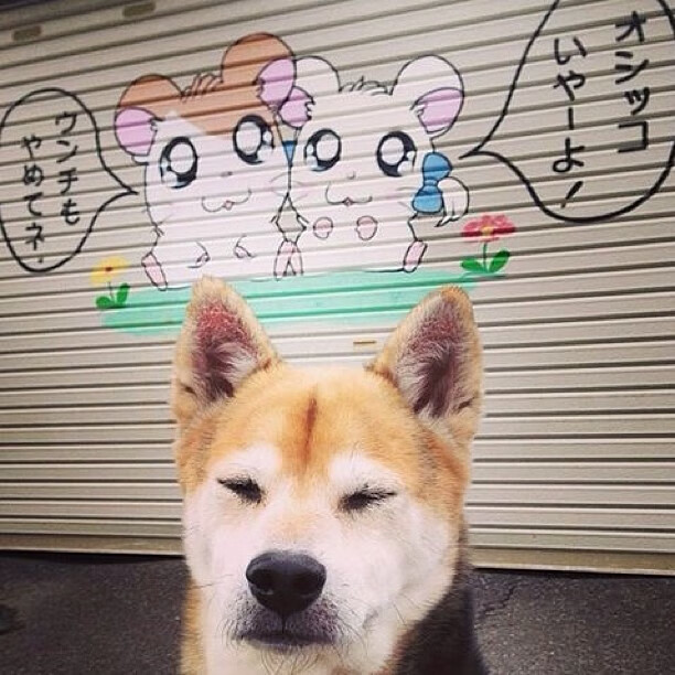 马修·图穆亚稳定发挥,帮助袋鼠队稳居冠军争夺行列,马修穆勒